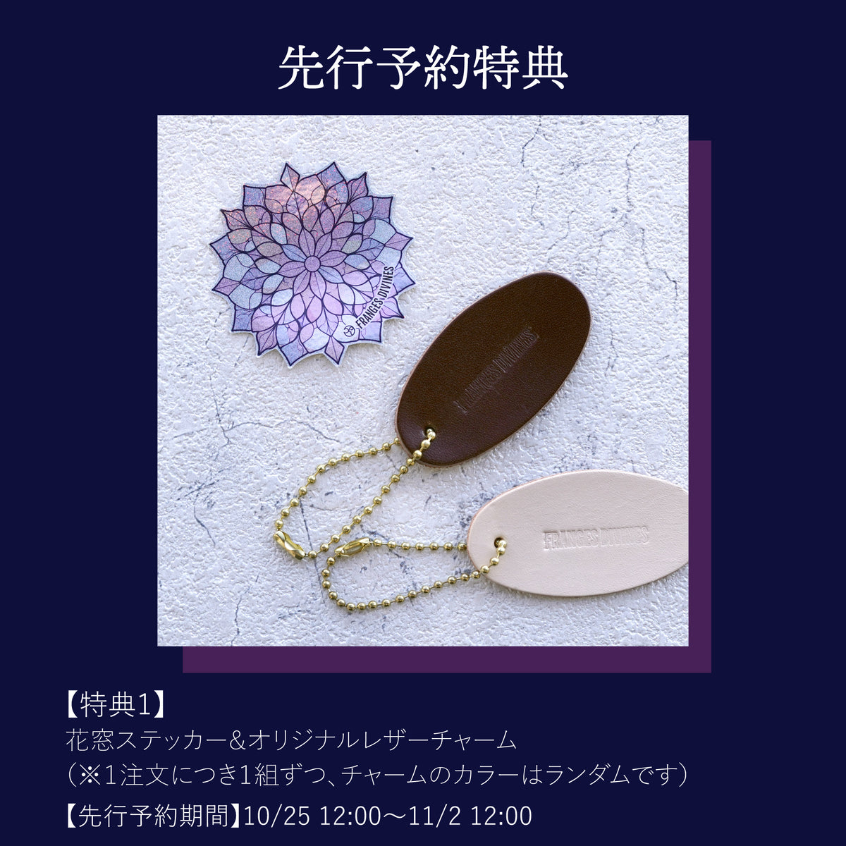 【予約商品】 ルージュ ウーフォリ ドゥ ラ ソワ コフレ ド ノエル 箒星 HOUKIBOSHI 数量限定