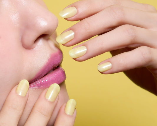 【POPUP in Tokyo】東武百貨店 池袋店 2/19～25